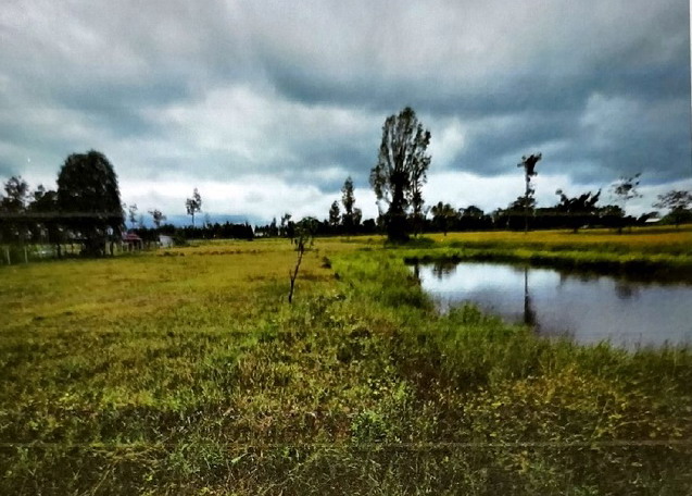 รูปที่ดินว่างเปล่า สังเม็ก กันทรลักษ์ ศรีสะเกษ