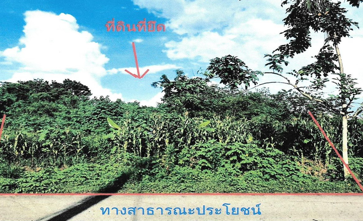 รูปที่ดินว่างเปล่า ลำนารายณ์ ชัยบาดาล ลพบุรี