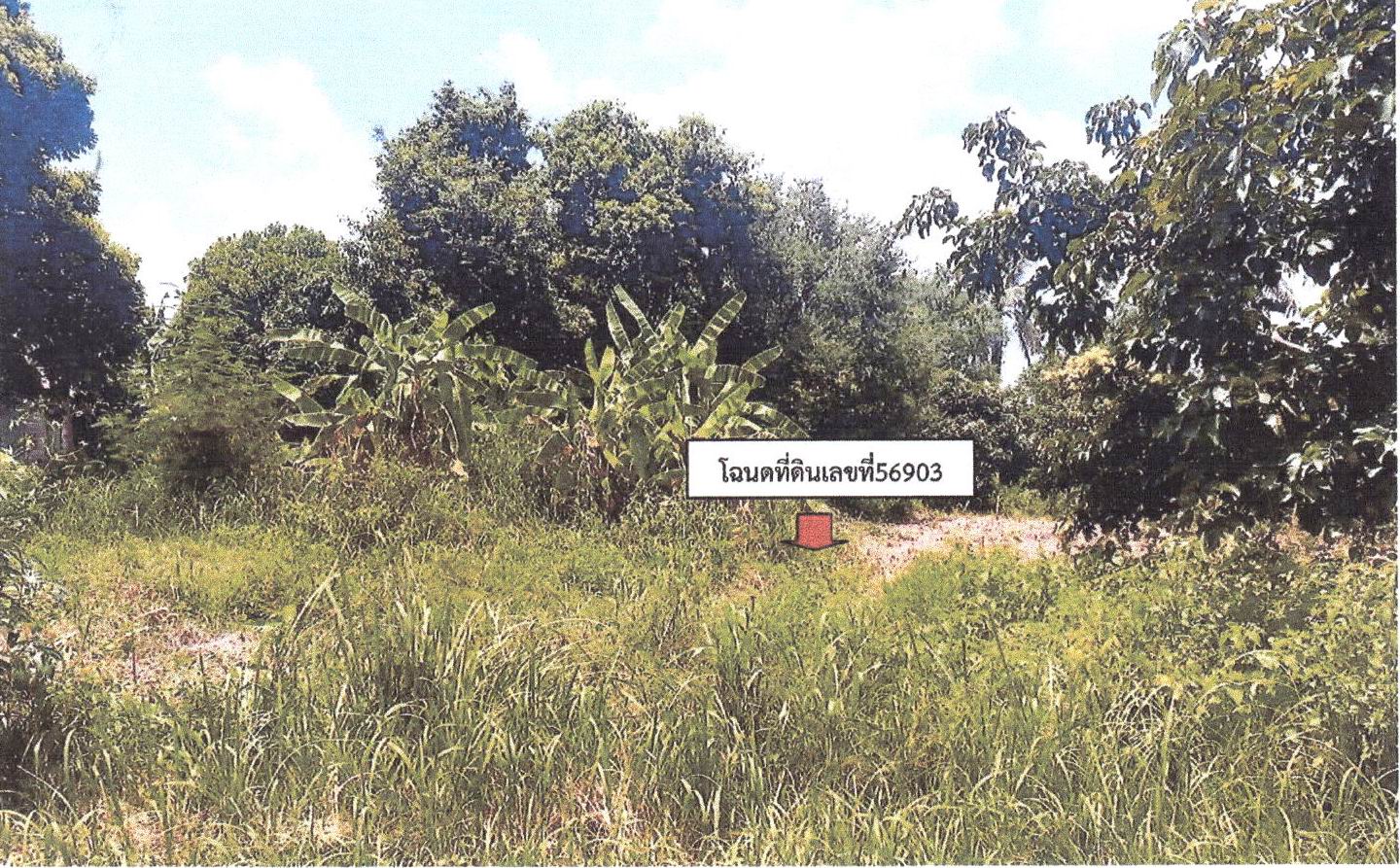 รูปที่ดินว่างเปล่า บางทรายใหญ่ เมืองมุกดาหาร มุกดาหาร