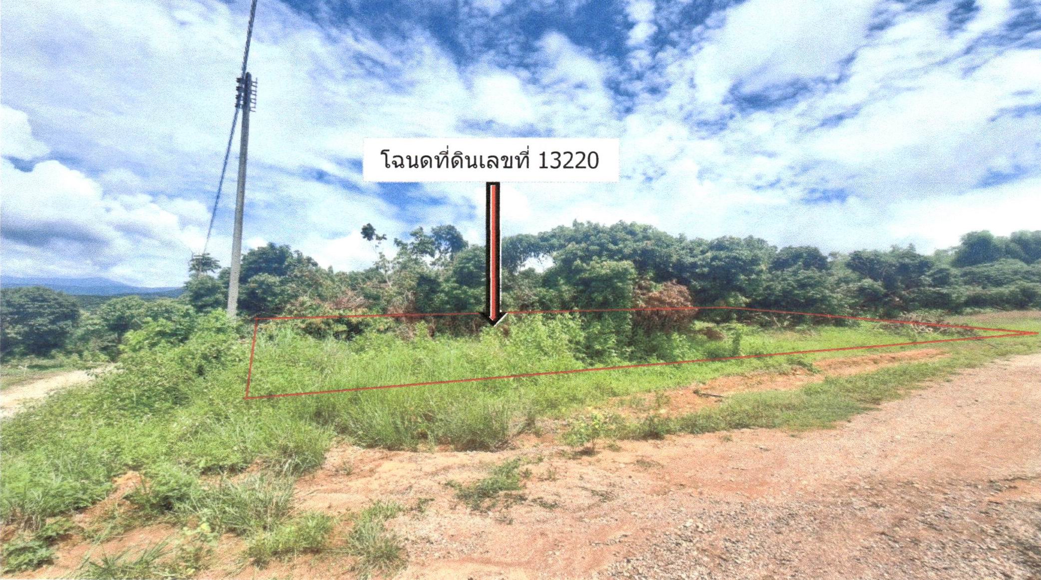 รูปที่ดินว่างเปล่า แม่สรวย แม่สรวย เชียงราย