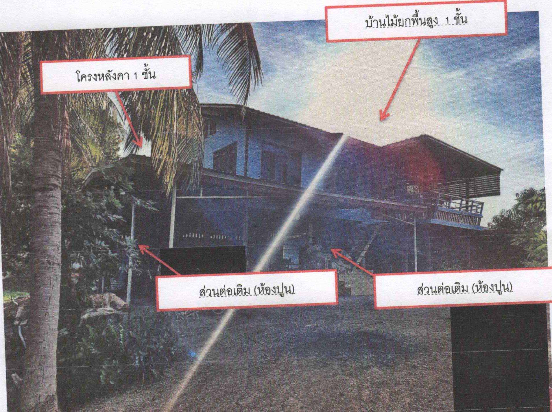 รูปที่ดินพร้อมสิ่งปลูกสร้าง ไผ่สิงห์ ชุมแสง นครสวรรค์