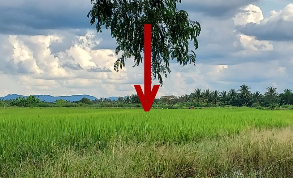รูปที่ดินว่างเปล่า วังหมัน สามเงา ตาก