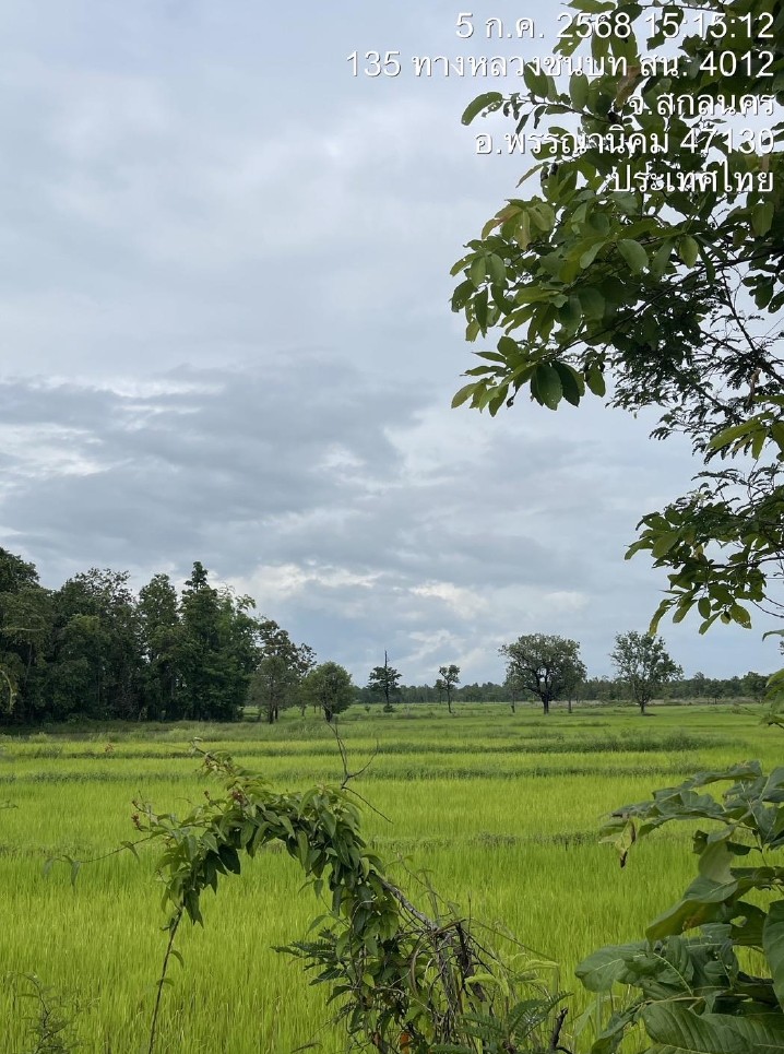 รูปที่ดินว่างเปล่า บะฮี พรรณานิคม สกลนคร
