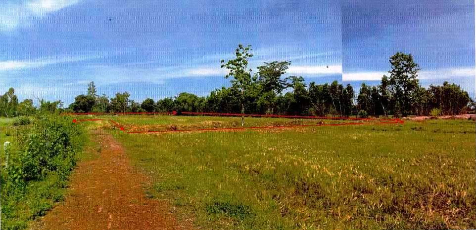 รูปที่ดินว่างเปล่า วัดธาตุ เมืองหนองคาย หนองคาย