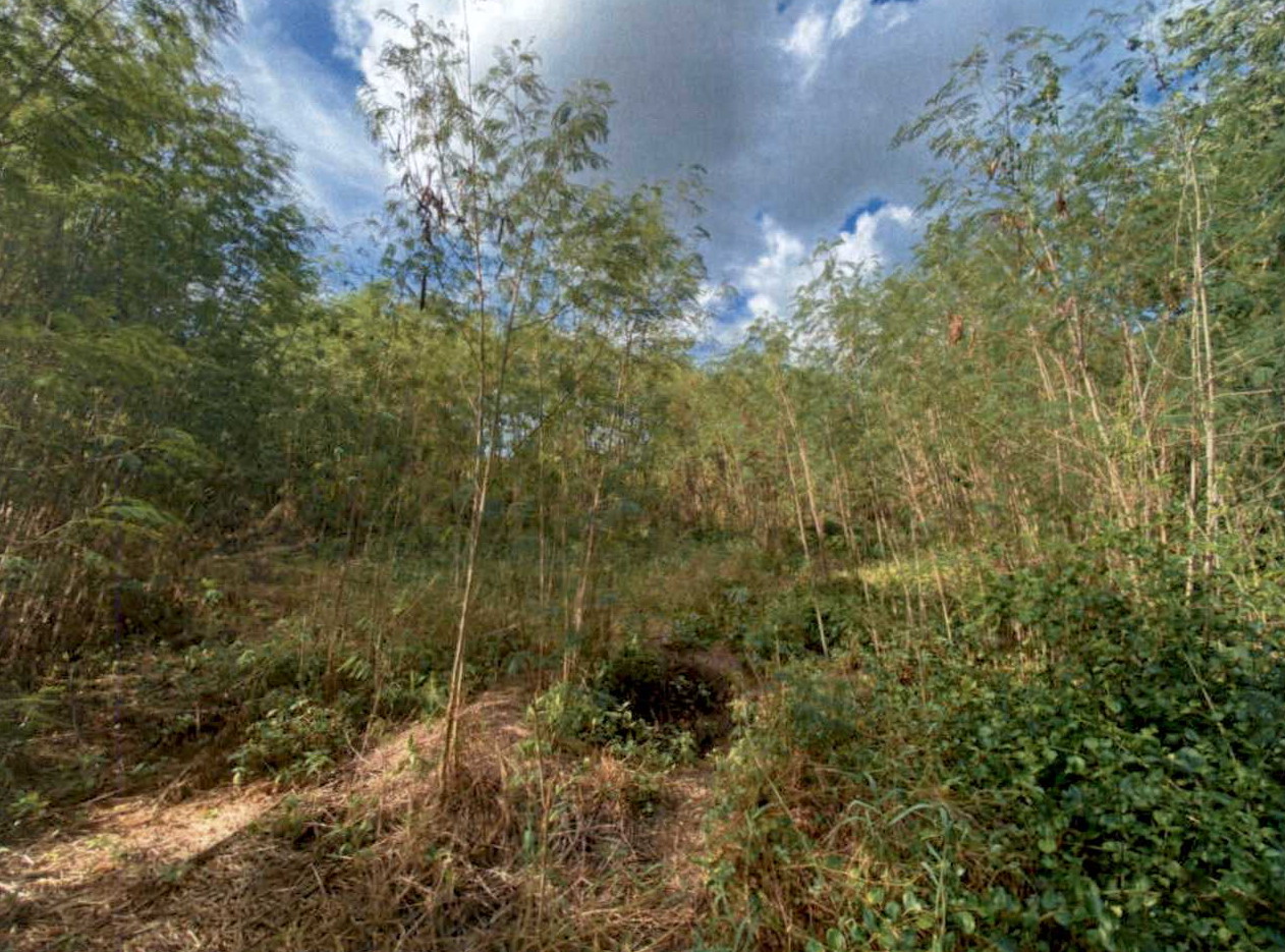 รูปที่ดินว่างเปล่า หนองโอ่ง อู่ทอง สุพรรณบุรี