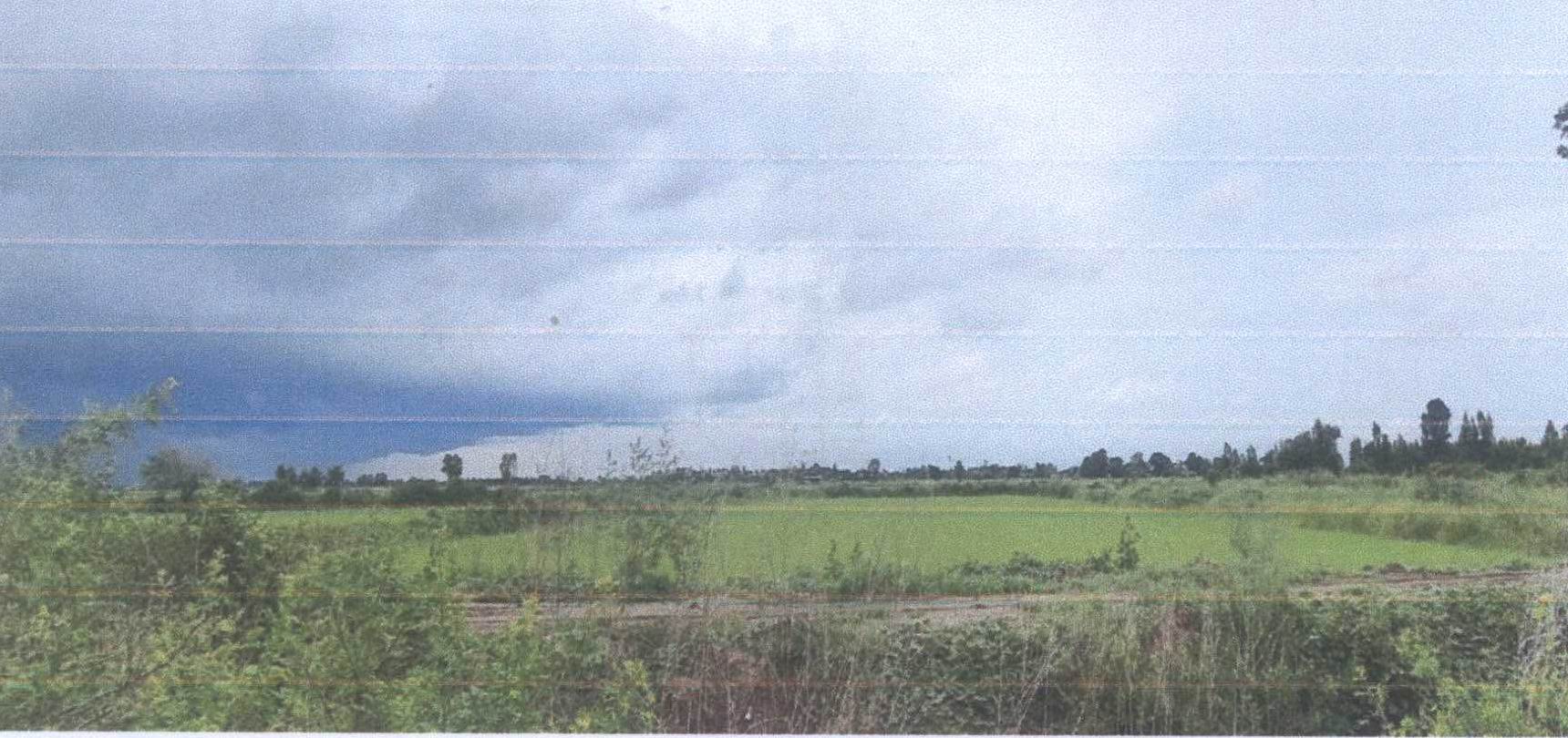 รูปที่ดินว่างเปล่า องครักษ์(ทองขาอย่าง) บางปลาม้า สุพรรณบุรี