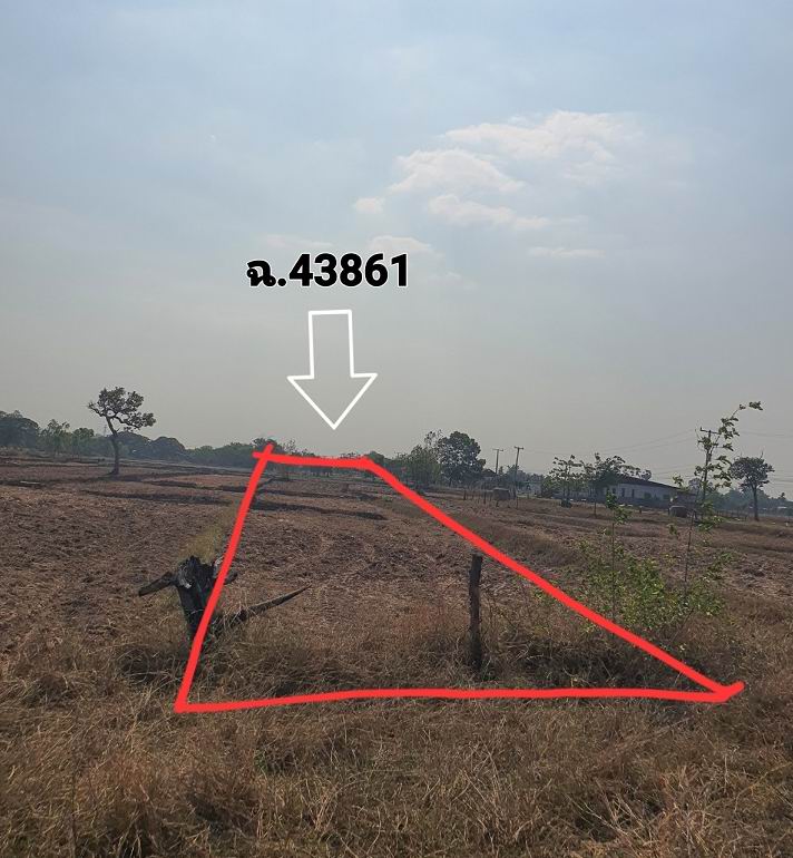 รูปที่ดินว่างเปล่า แวง สว่างแดนดิน สกลนคร