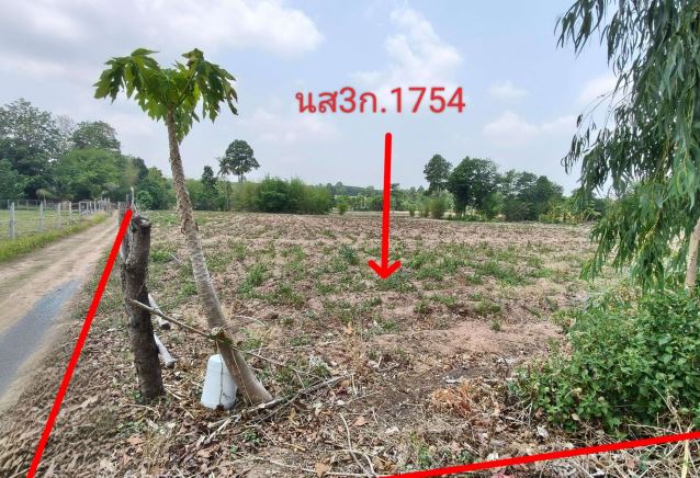 รูปที่ดินว่างเปล่า รอบเมือง หนองพอก ร้อยเอ็ด