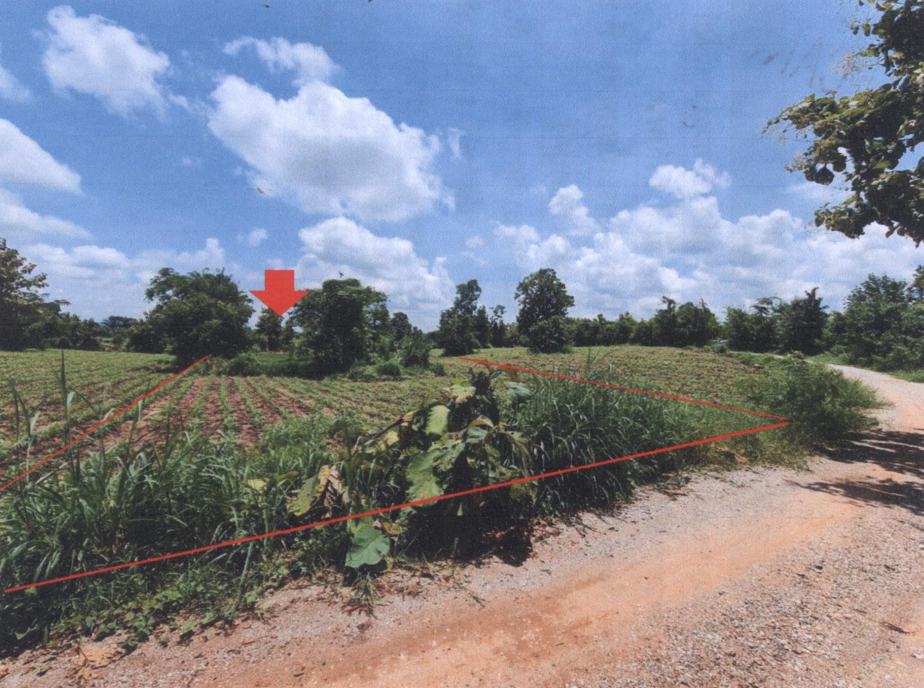 รูปที่ดินว่างเปล่า ป่าแดง ชาติตระการ พิษณุโลก