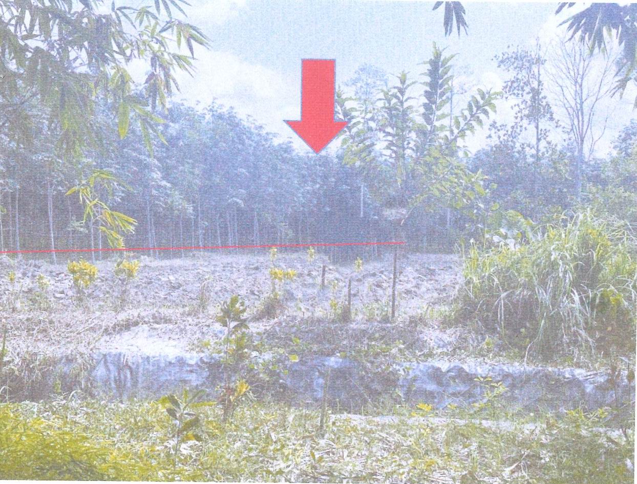 รูปที่ดินว่างเปล่า หินตก ร่อนพิบูลย์ นครศรีธรรมราช