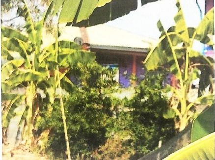 รูปที่ดินพร้อมสิ่งปลูกสร้าง หนองสังข์ แก้งคร้อ ชัยภูมิ