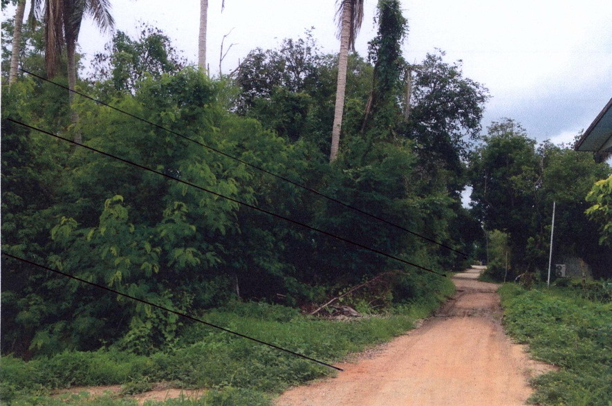 รูปที่ดินว่างเปล่า วังชะโอน บึงสามัคคี กำแพงเพชร