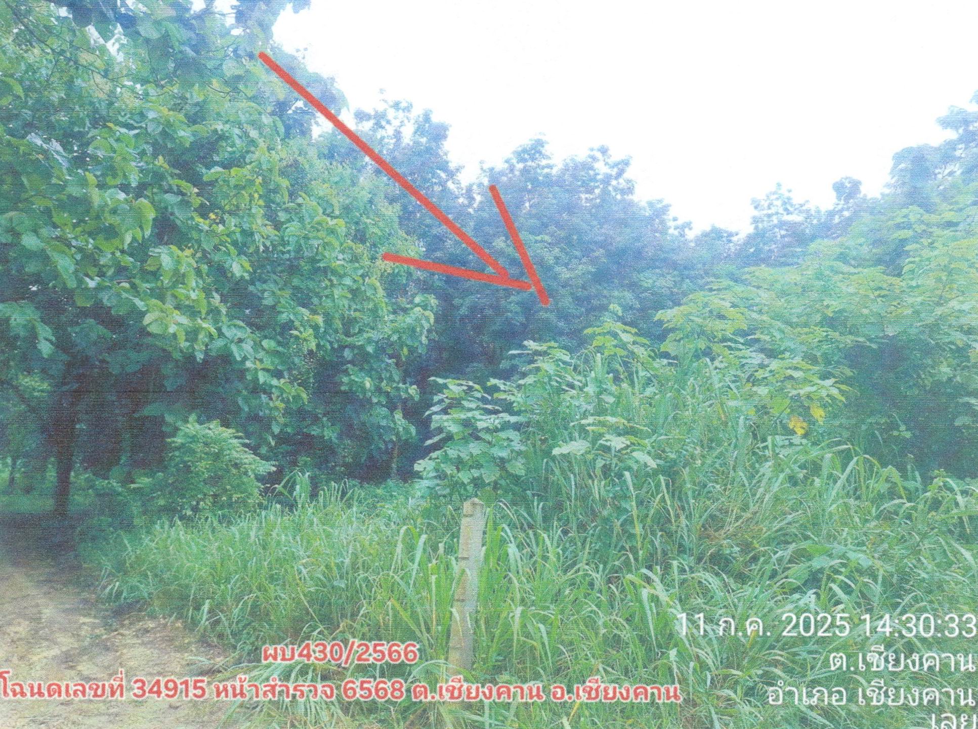 รูปที่ดินว่างเปล่า เชียงคาน เชียงคาน เลย