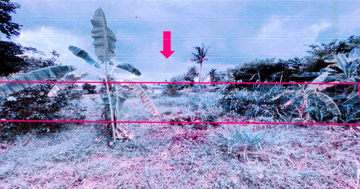 รูปที่ดินว่างเปล่า (คอนกาม)กุดเมืองฮาม ยางชุมน้อย ศรีสะเกษ