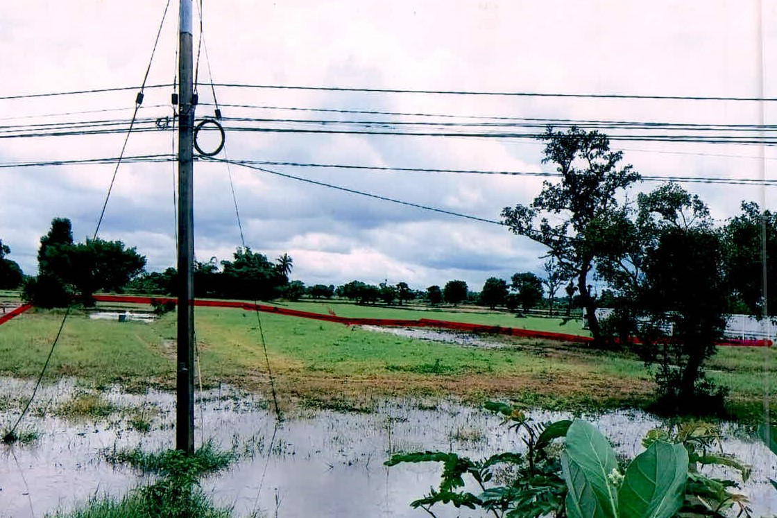 รูปที่ดินว่างเปล่า ยางชุมน้อย ยางชุมน้อย ศรีสะเกษ