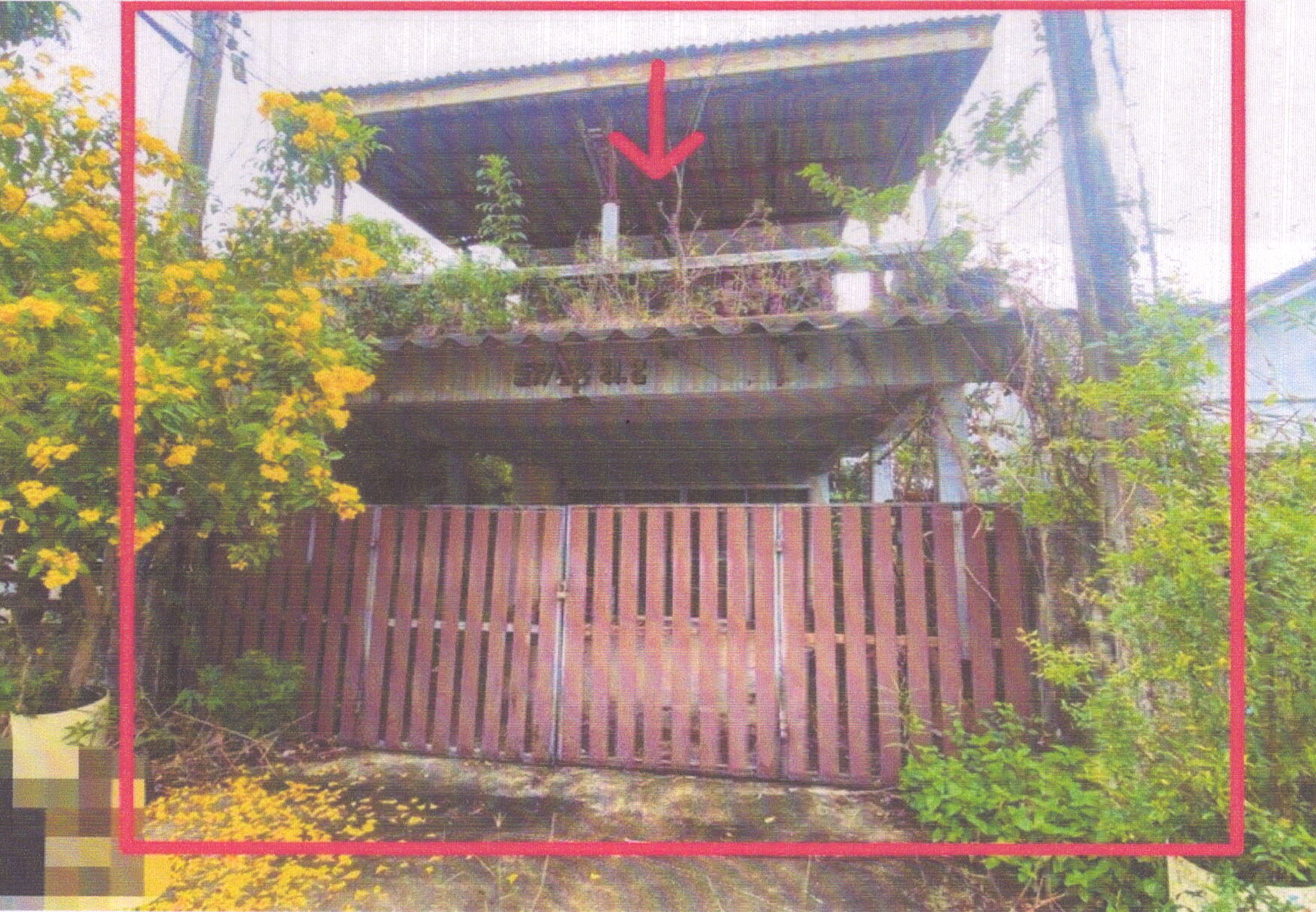 รูปที่ดินพร้อมสิ่งปลูกสร้าง พะวง เมืองสงขลา สงขลา