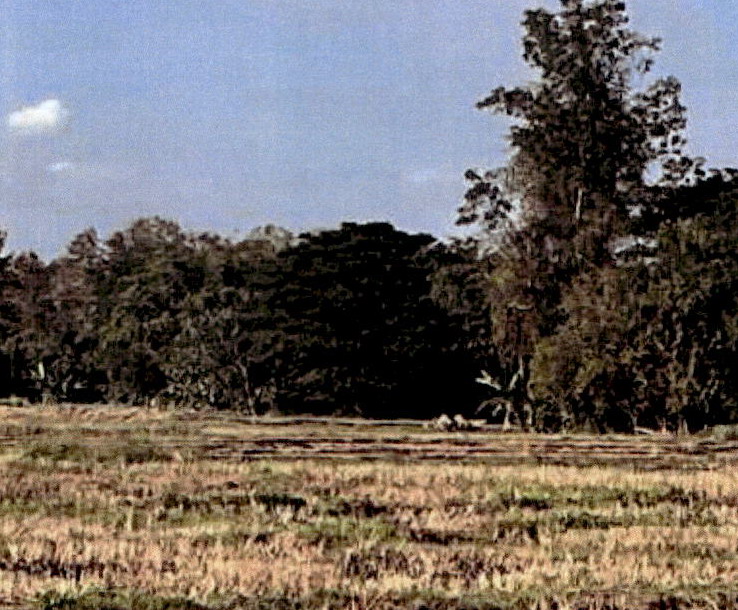 รูปที่ดินว่างเปล่า ปงดอน แจ้ห่ม ลำปาง