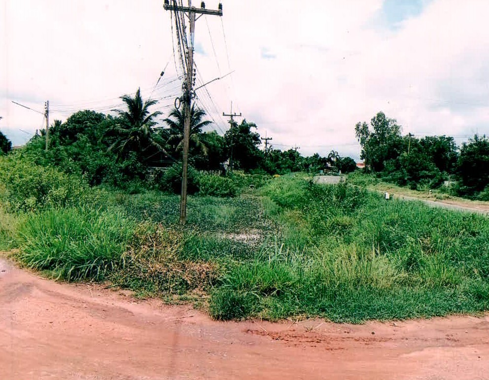 รูปที่ดินว่างเปล่า ยางชุมน้อย ยางชุมน้อย ศรีสะเกษ