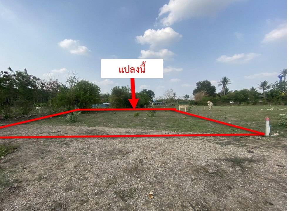 รูปที่ดินว่างเปล่า เขาขลุง บ้านโป่ง ราชบุรี