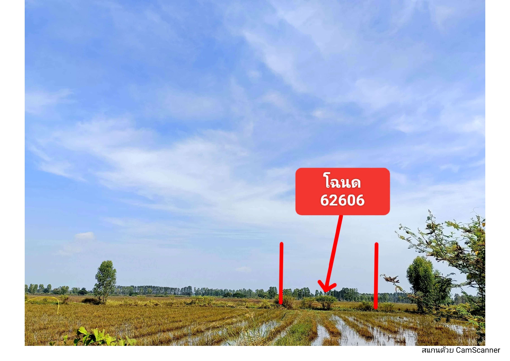 รูปที่ดินว่างเปล่า ยางท่าแจ้ง โกสุมพิสัย มหาสารคาม