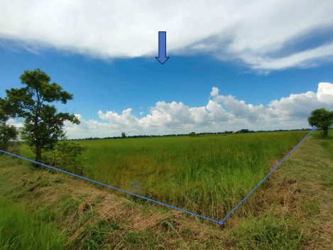 รูปที่ดินว่างเปล่า ดินดำ จังหาร ร้อยเอ็ด
