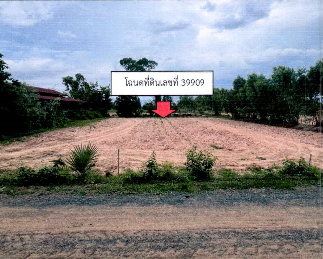 รูปที่ดินว่างเปล่า สวาย ปรางค์กู่ ศรีสะเกษ