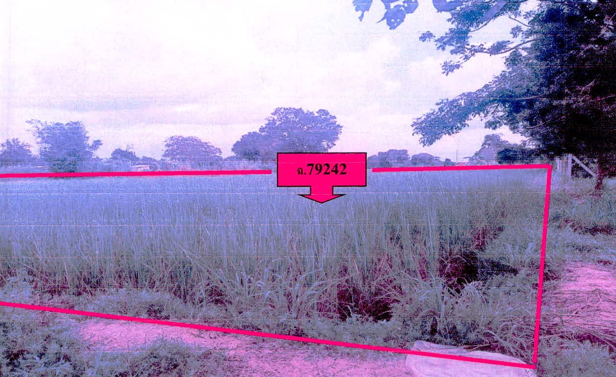 รูปที่ดินว่างเปล่า แขม อุทุมพรพิสัย ศรีสะเกษ