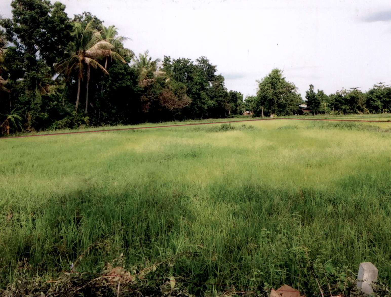 รูปที่ดินว่างเปล่า ถลุงเหล็ก เมืองบุรีรัมย์ บุรีรัมย์