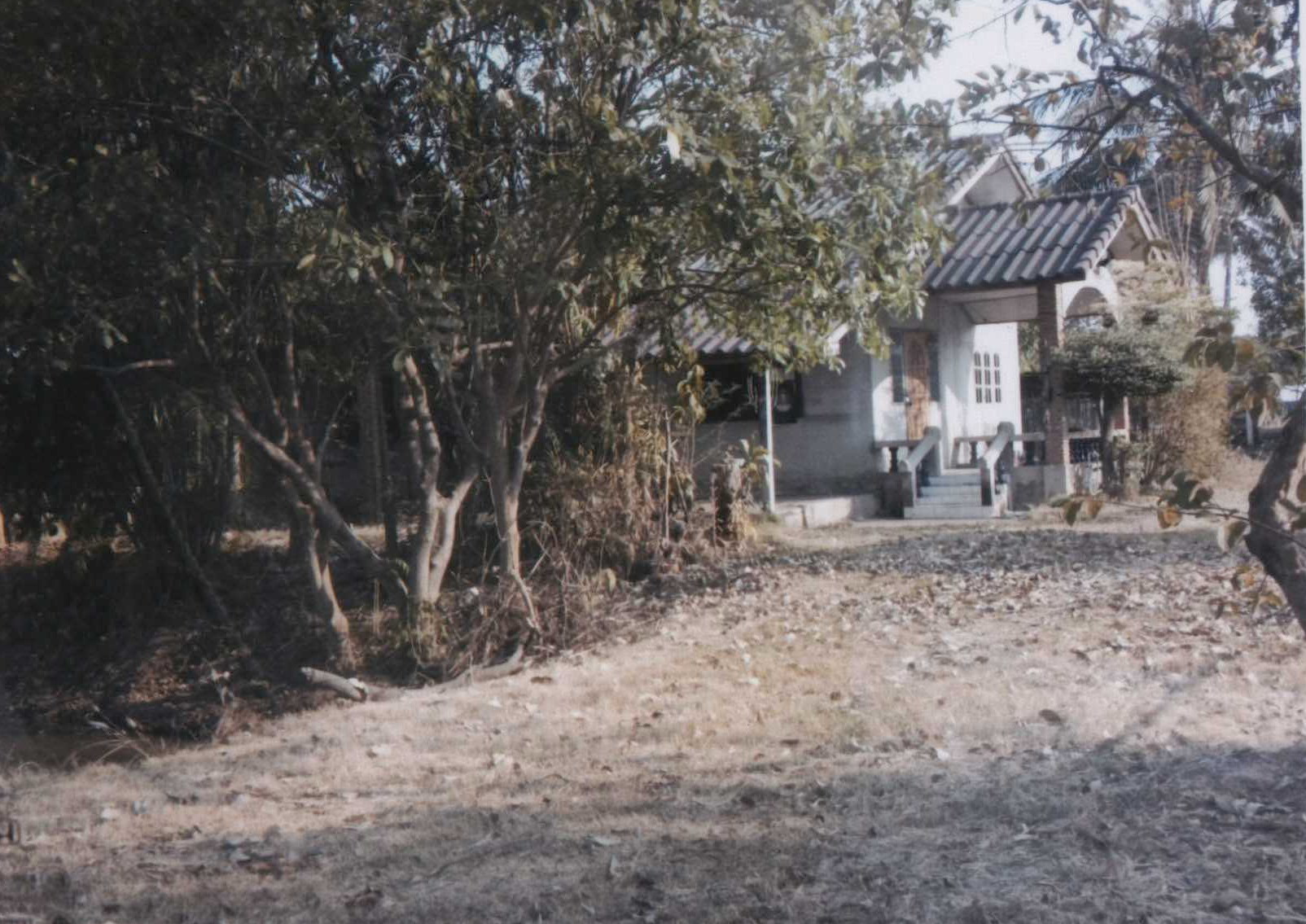รูปที่ดินพร้อมสิ่งปลูกสร้าง บ้านผือ จอมพระ สุรินทร์