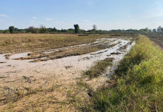 รูปที่ดินว่างเปล่า ขามเรียง กันทรวิชัย มหาสารคาม