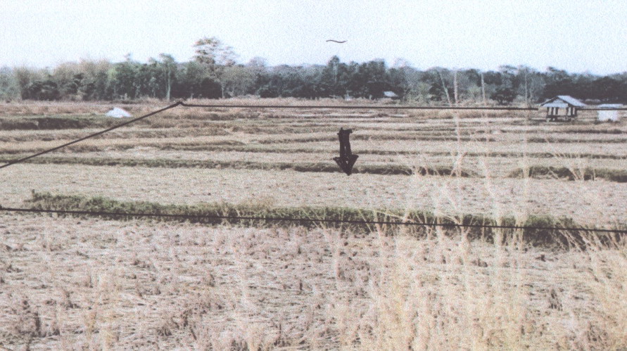 รูปที่ดินว่างเปล่า โพนงาม หนองหาน อุดรธานี