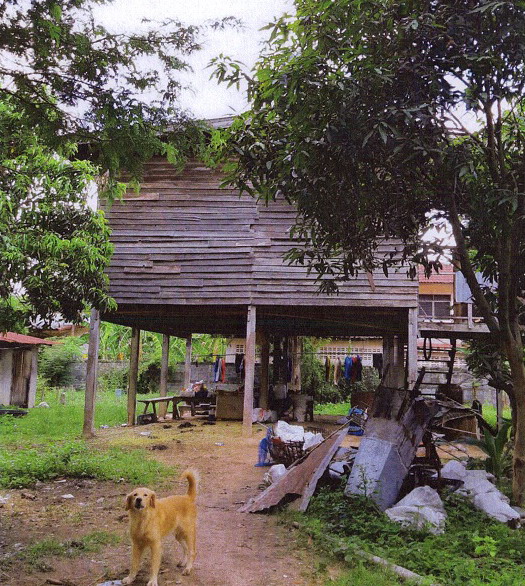 รูปที่ดินพร้อมสิ่งปลูกสร้าง นอกเมือง เมืองสุรินทร์ สุรินทร์