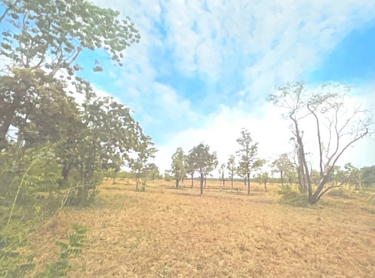 รูปที่ดินว่างเปล่า เชียงเครือ เมืองสกลนคร สกลนคร