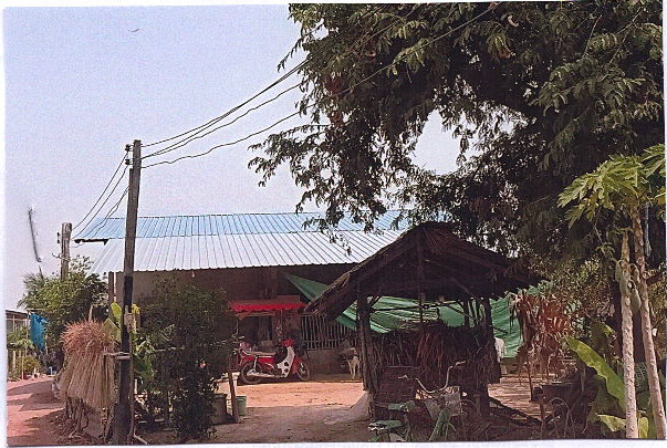 รูปที่ดินพร้อมสิ่งปลูกสร้าง บ้านป่า เมืองพิษณุโลก พิษณุโลก