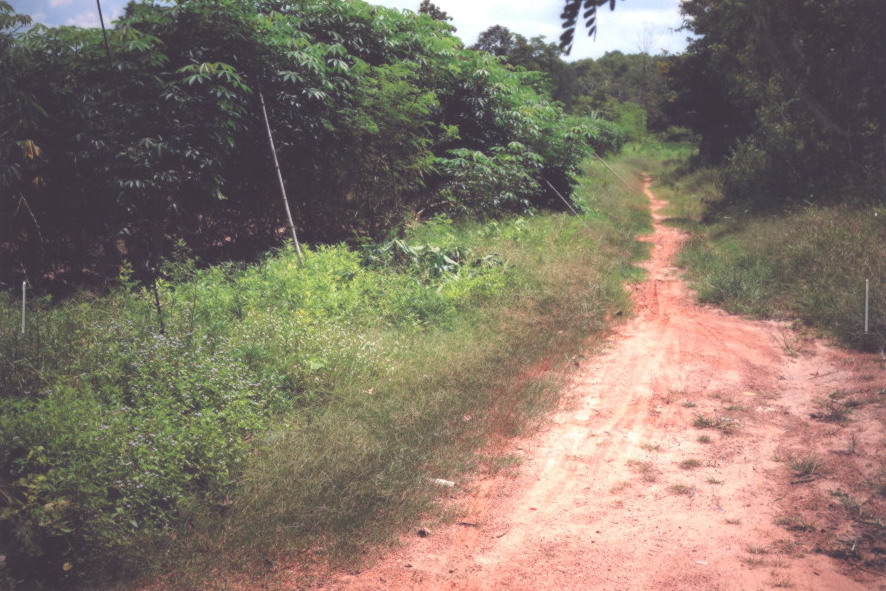 รูปที่ดินว่างเปล่า โคกสะอาด เมืองอุดรธานี อุดรธานี