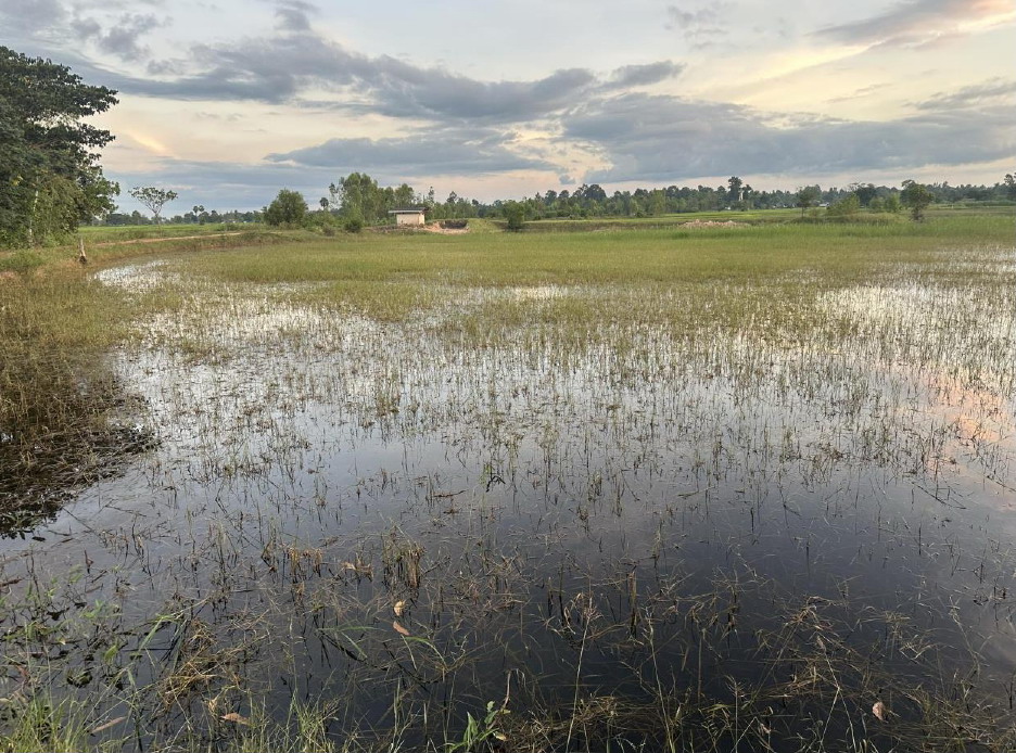 รูปที่ดินว่างเปล่า ดงชน เมืองสกลนคร สกลนคร