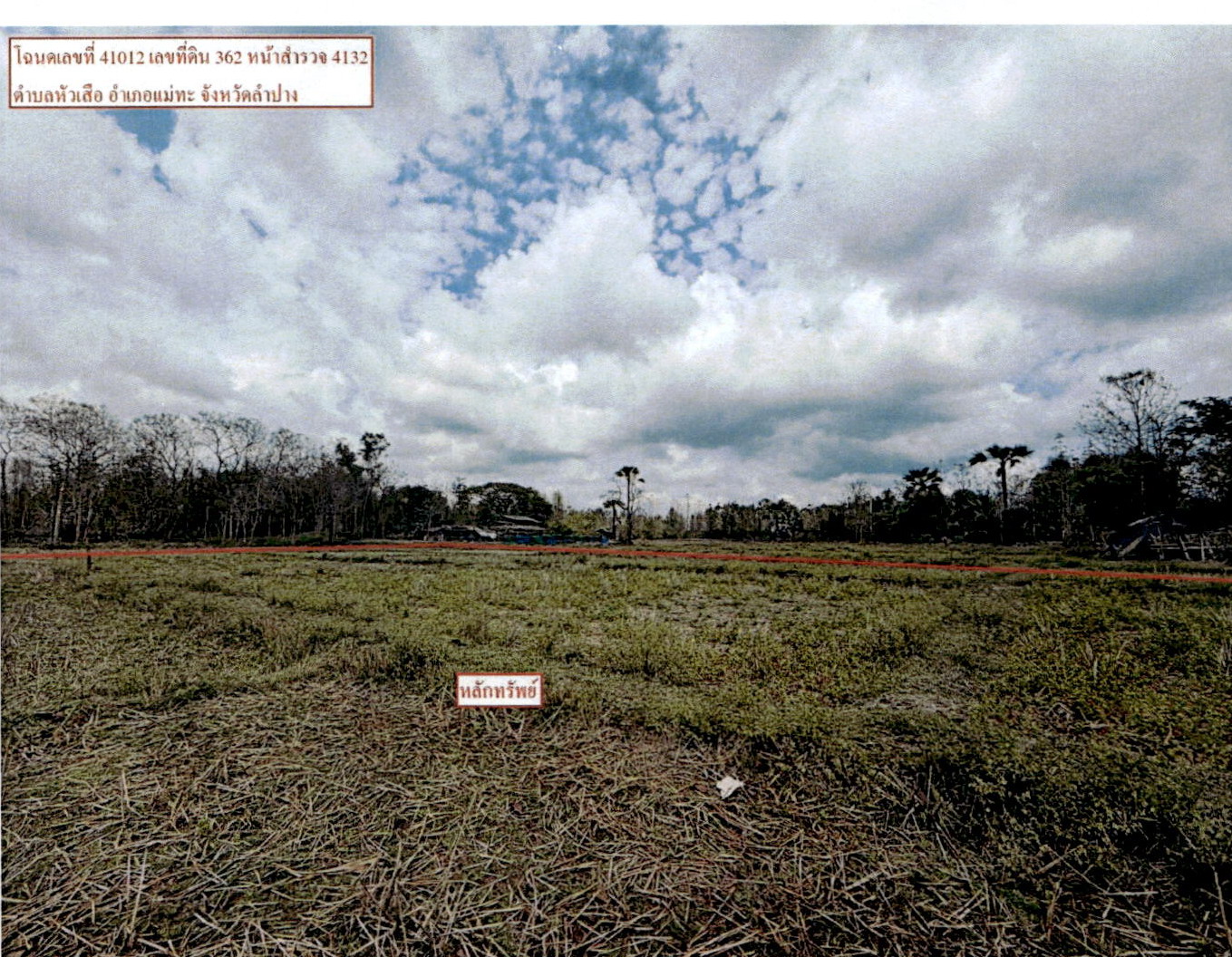รูปที่ดินว่างเปล่า หัวเสือ แม่ทะ ลำปาง
