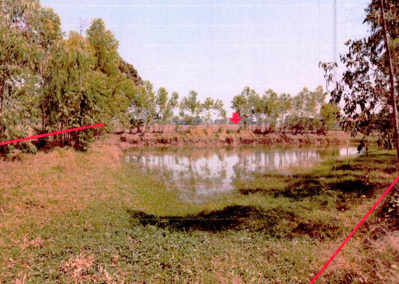 รูปที่ดินว่างเปล่า คอนกาม ยางชุมน้อย ศรีสะเกษ