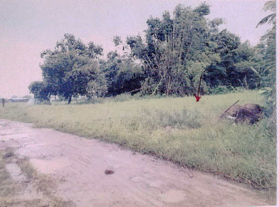 รูปที่ดินว่างเปล่า ส้มป่อย ราษีไศล ศรีสะเกษ
