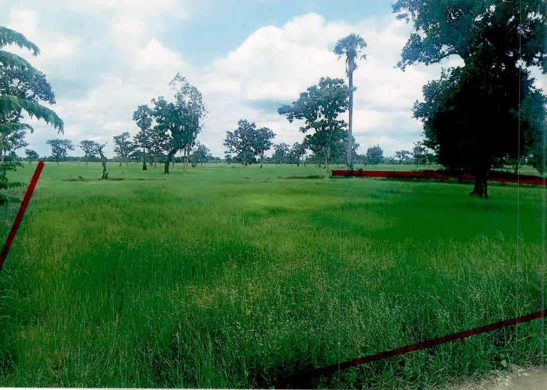รูปที่ดินว่างเปล่า คอนกาม ยางชุมน้อย ศรีสะเกษ