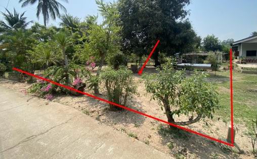 รูปที่ดินพร้อมสิ่งปลูกสร้าง มะต้อง พรหมพิราม พิษณุโลก