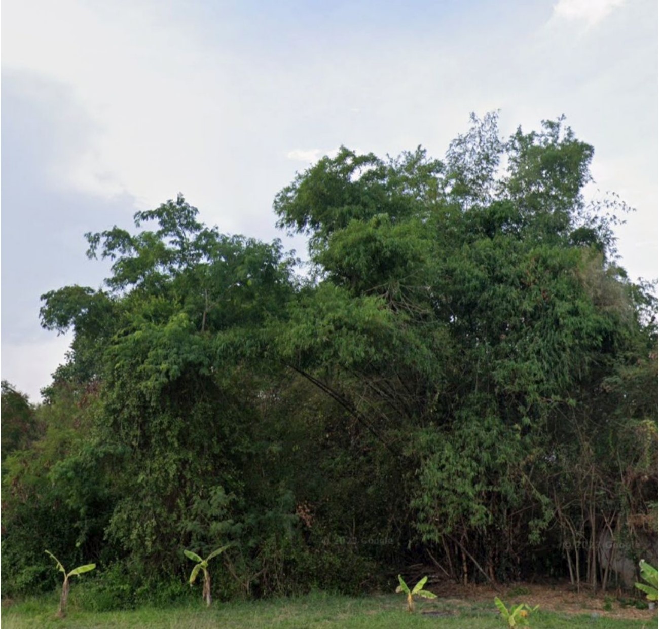 รูปที่ดินว่างเปล่า บ้านสิงห์ โพธาราม ราชบุรี