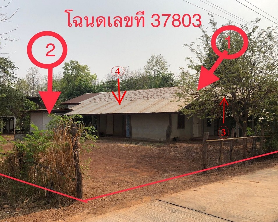 รูปที่ดินพร้อมสิ่งปลูกสร้าง บะหว้า อากาศอำนวย สกลนคร