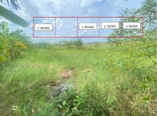 รูปที่ดินว่างเปล่า ไทรใหญ่ ไทรน้อย นนทบุรี