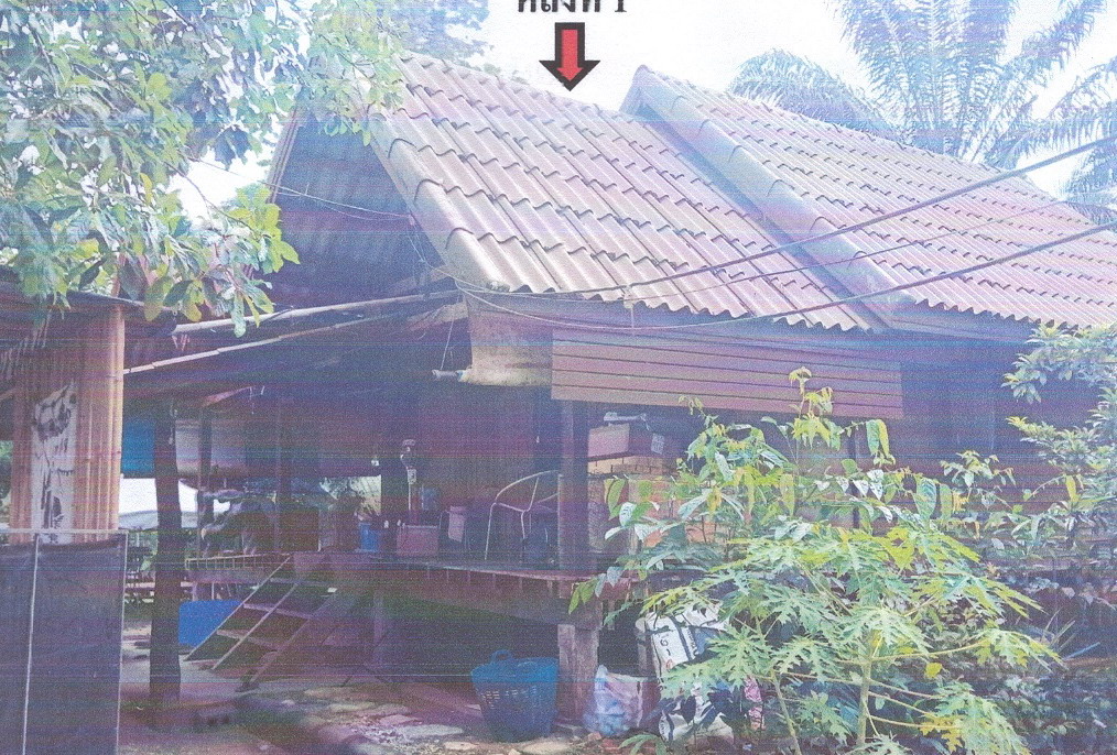 รูปที่ดินพร้อมสิ่งปลูกสร้าง ควนพัง ร่อนพิบูลย์ นครศรีธรรมราช