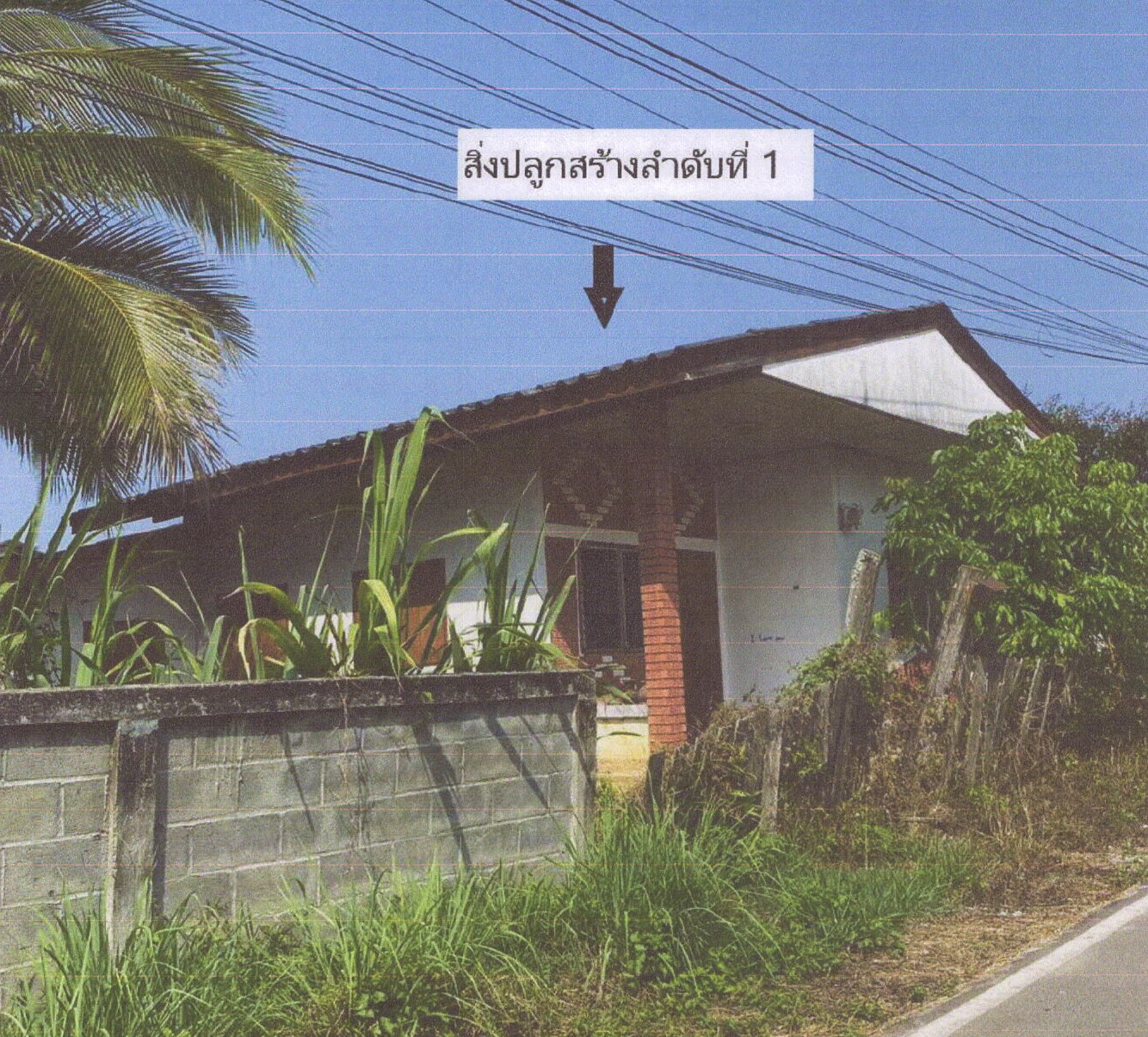 รูปที่ดินพร้อมสิ่งปลูกสร้าง เวียง เวียงป่าเป้า เชียงราย