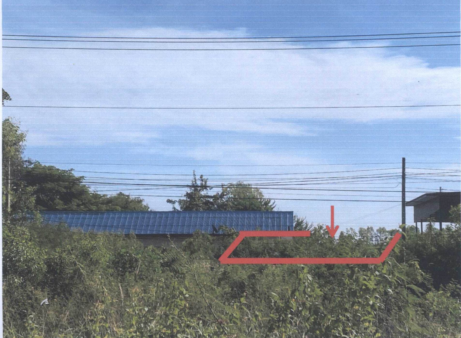 รูปที่ดินว่างเปล่า ปะหลาน พยัคฆภูมิพิสัย มหาสารคาม