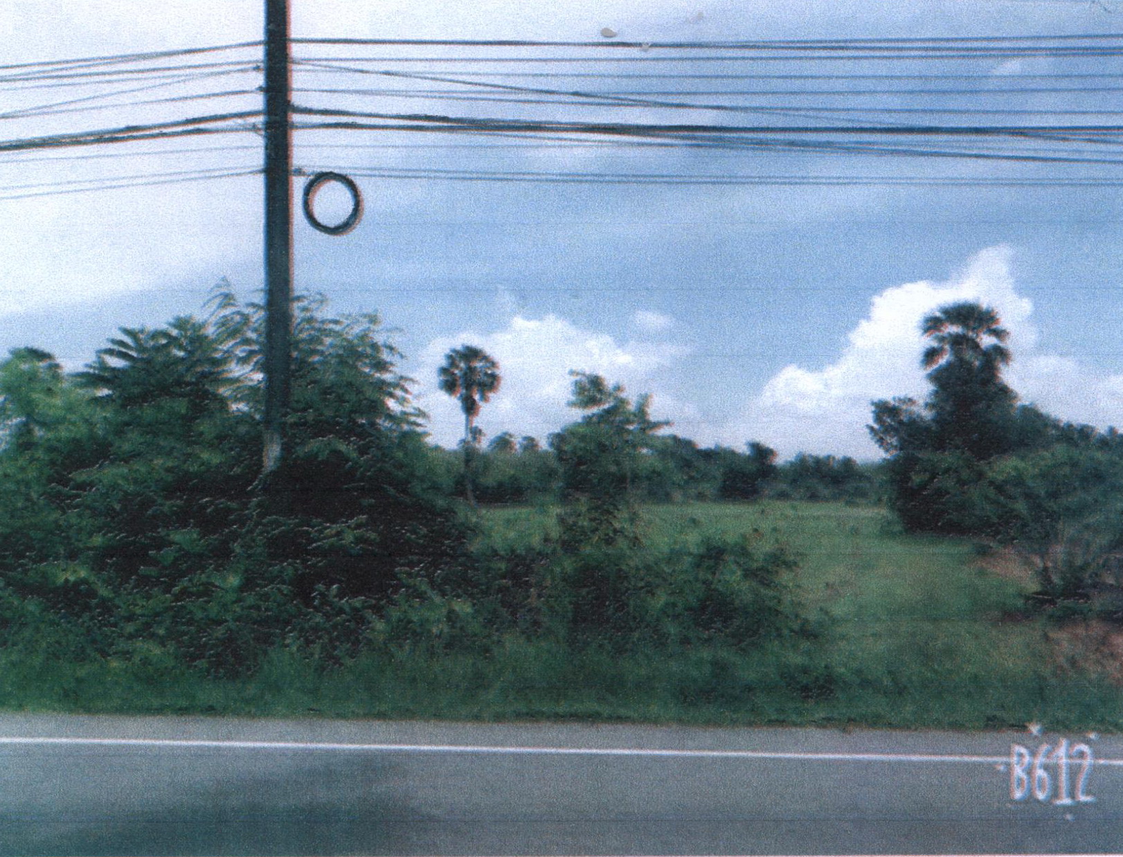 รูปที่ดินว่างเปล่า รัตภูมิ ควนเนียง สงขลา