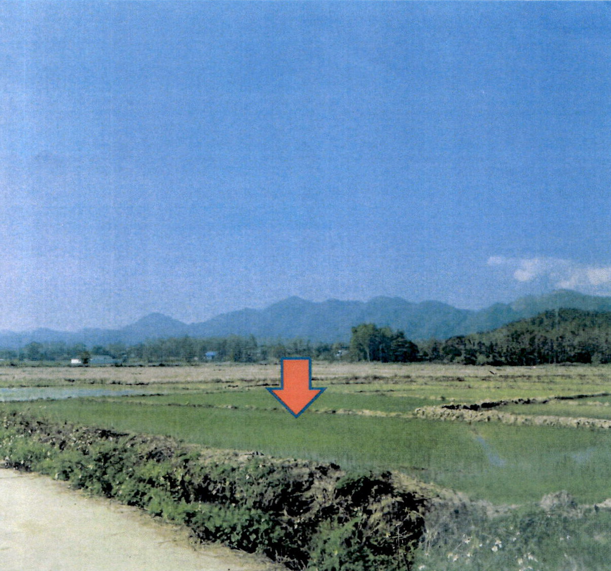 รูปที่ดินว่างเปล่า (แจ้ห่ม)วิเชตนคร แจ้ห่ม ลำปาง