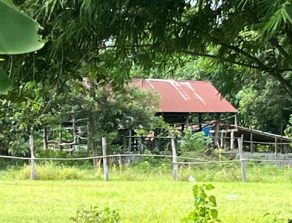 รูปที่ดินพร้อมสิ่งปลูกสร้าง หนองสิม บรบือ มหาสารคาม